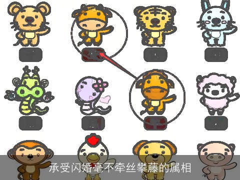 承受闪婚毫不牵丝攀藤的属相