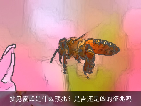 梦见蜜蜂是什么预兆？是吉还是凶的征兆吗