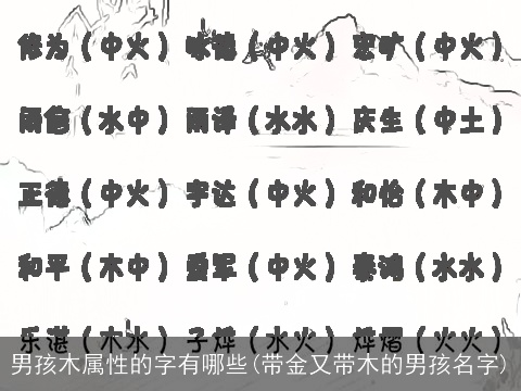 男孩木属性的字有哪些(带金又带木的男孩名字)