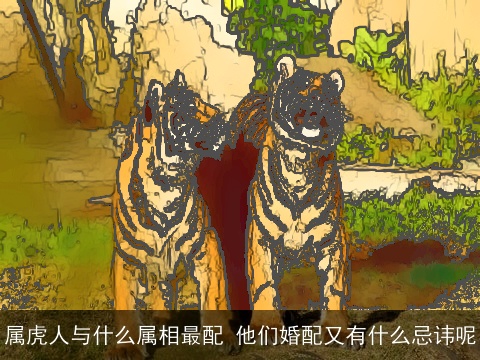 属虎人与什么属相最配 他们婚配又有什么忌讳呢