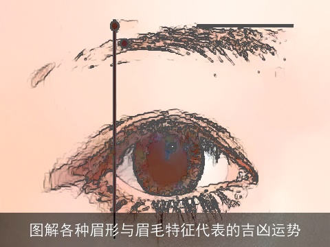 图解各种眉形与眉毛特征代表的吉凶运势
