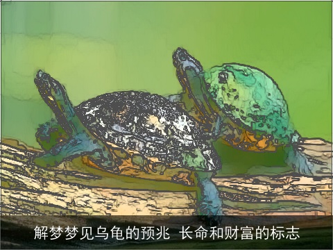 解梦梦见乌龟的预兆 长命和财富的标志