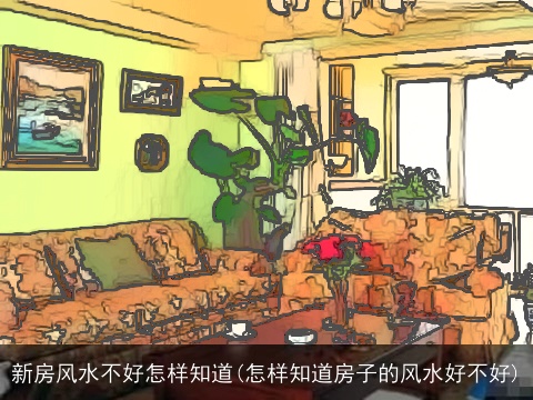 新房风水不好怎样知道(怎样知道房子的风水好不好)