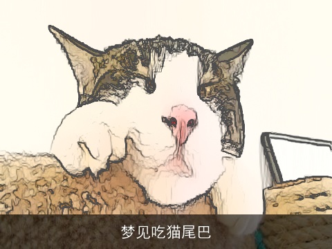 梦见吃猫尾巴