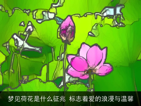 梦见荷花是什么征兆 标志着爱的浪漫与温馨
