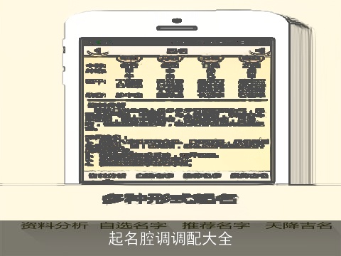 起名腔调调配大全