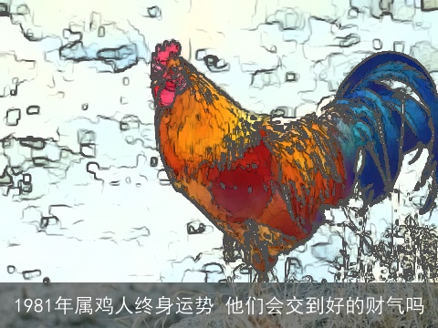 1981年属鸡人终身运势 他们会交到好的财气吗