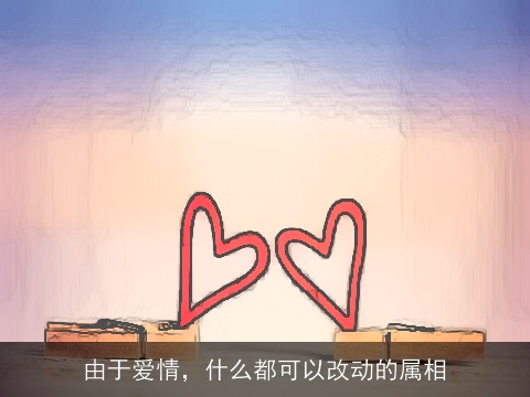 由于爱情，什么都可以改动的属相