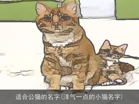 适合公猫的名字(洋气一点的小猫名字)