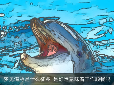 梦见海豚是什么征兆 是好运意味着工作顺畅吗