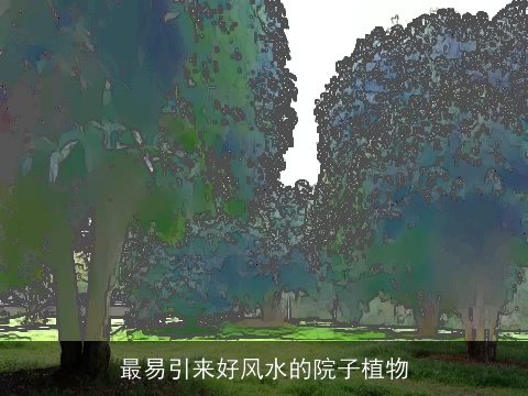 最易引来好风水的院子植物