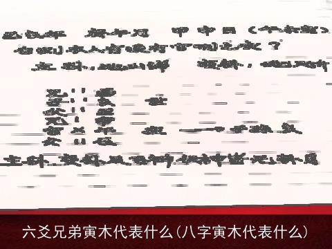 六爻兄弟寅木代表什么(八字寅木代表什么)