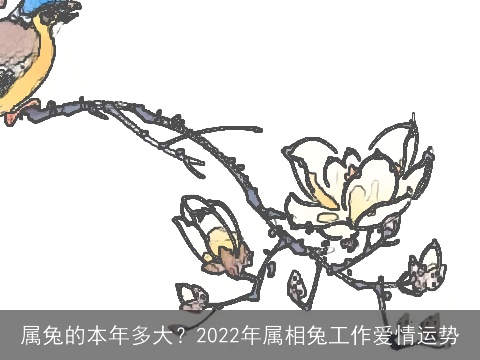 属兔的本年多大？2022年属相兔工作爱情运势