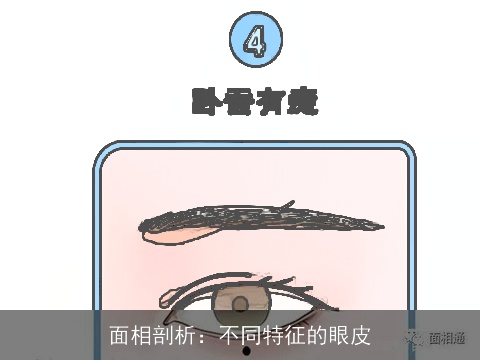 面相剖析：不同特征的眼皮