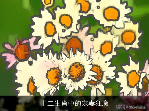 十二生肖中的宠妻狂魔