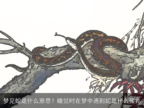 梦见蛇是什么意思？睡觉时在梦中遇到蛇是什么预兆