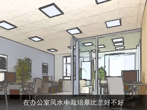 在办公室风水中栽培皋比兰好不好