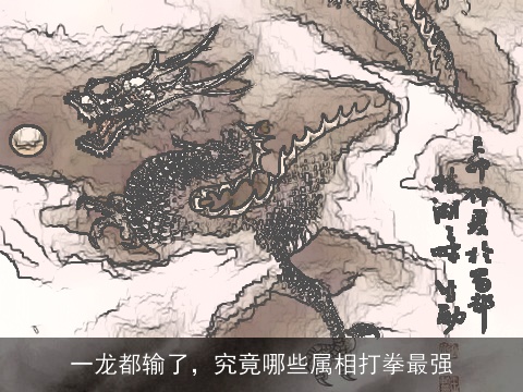 一龙都输了，究竟哪些属相打拳最强