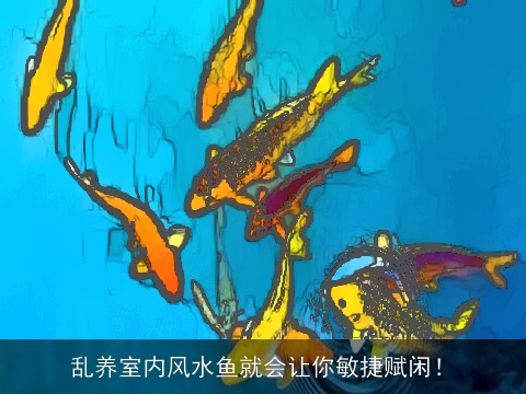 乱养室内风水鱼就会让你敏捷赋闲！