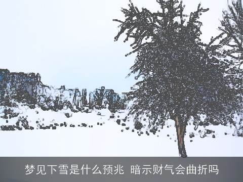 梦见下雪是什么预兆 暗示财气会曲折吗