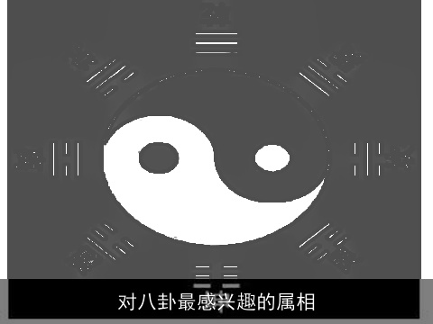 对八卦最感兴趣的属相