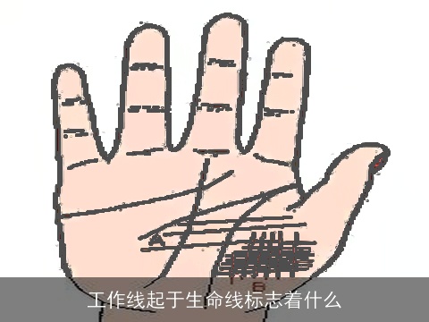 工作线起于生命线标志着什么