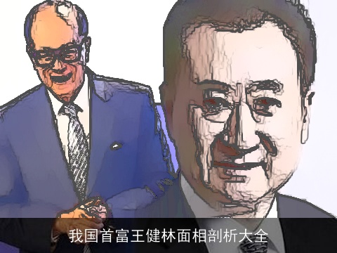 我国首富王健林面相剖析大全