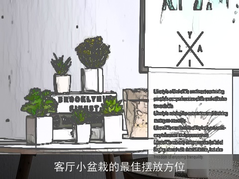 客厅小盆栽的最佳摆放方位