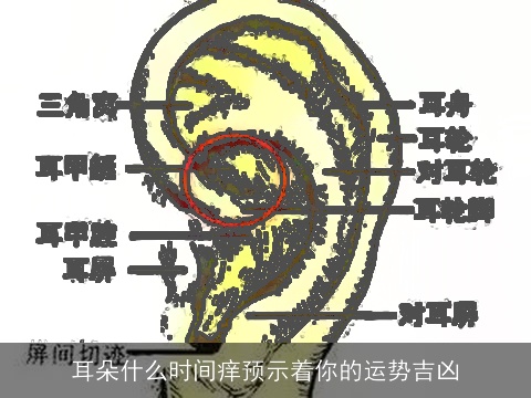 耳朵什么时间痒预示着你的运势吉凶