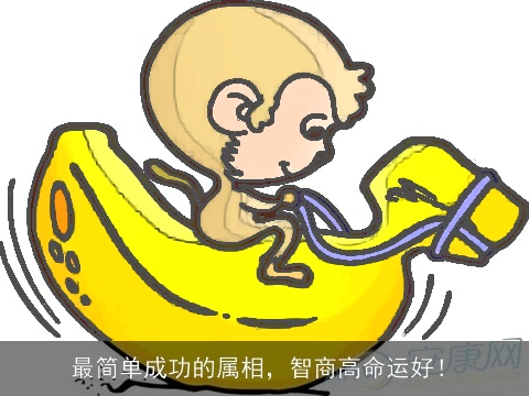 最简单成功的属相，智商高命运好！