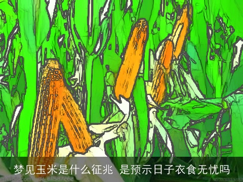 梦见玉米是什么征兆 是预示日子衣食无忧吗