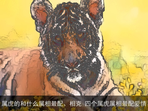 属虎的和什么属相最配、相克 四个属虎属相最配爱情