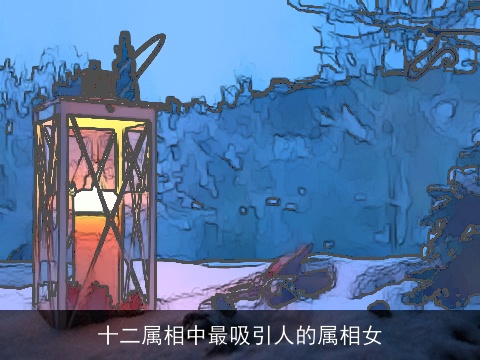 十二属相中最吸引人的属相女