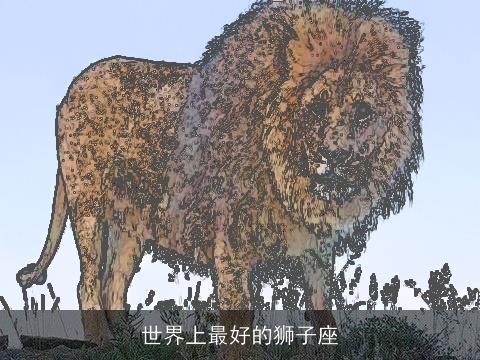 世界上最好的狮子座