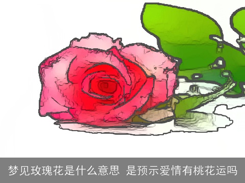 梦见玫瑰花是什么意思 是预示爱情有桃花运吗