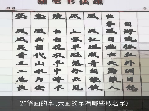 20笔画的字(六画的字有哪些取名字)
