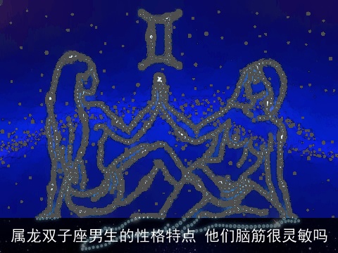 属龙双子座男生的性格特点 他们脑筋很灵敏吗