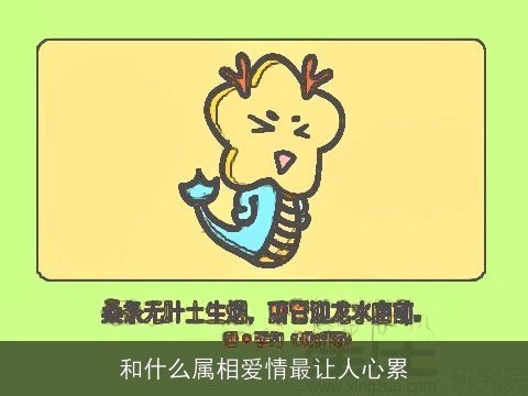 和什么属相爱情最让人心累