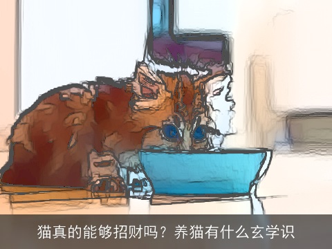 猫真的能够招财吗？养猫有什么玄学识