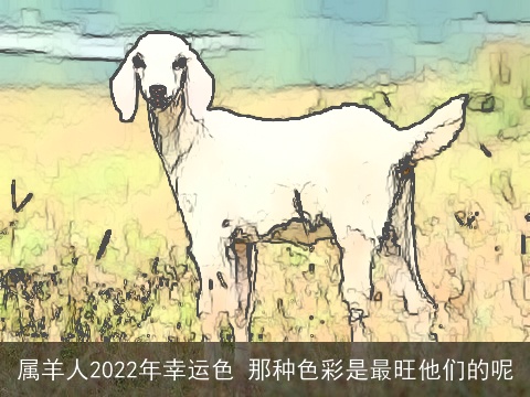 属羊人2022年幸运色 那种色彩是最旺他们的呢