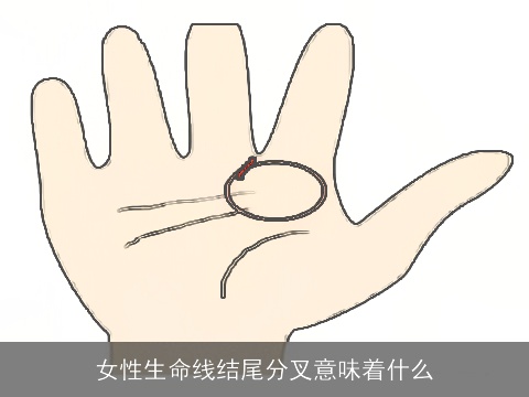 女性生命线结尾分叉意味着什么
