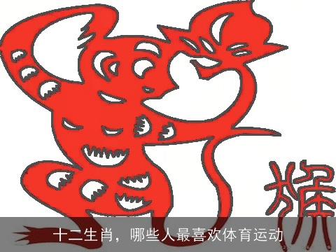 十二生肖，哪些人最喜欢体育运动