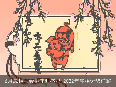 6月属相马会桃花旺盛吗 2022年属相运势详解