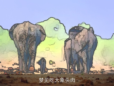 梦见吃大象头肉
