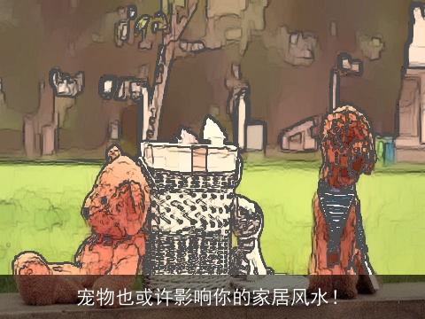 宠物也或许影响你的家居风水！