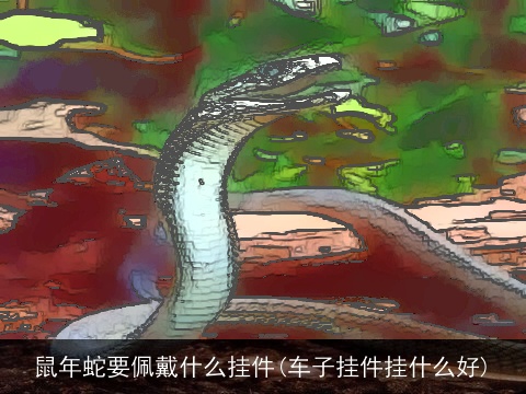 鼠年蛇要佩戴什么挂件(车子挂件挂什么好)