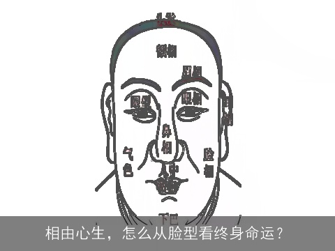 相由心生，怎么从脸型看终身命运？