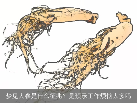 梦见人参是什么征兆？是预示工作烦恼太多吗