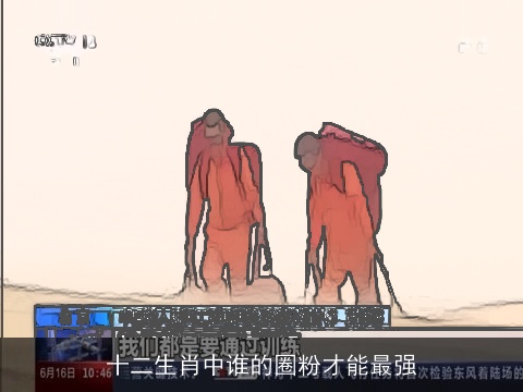 十二生肖中谁的圈粉才能最强