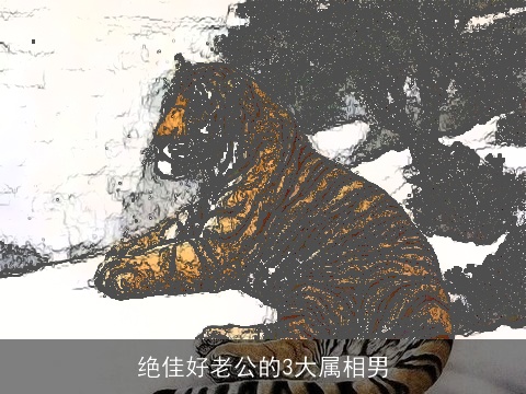 绝佳好老公的3大属相男